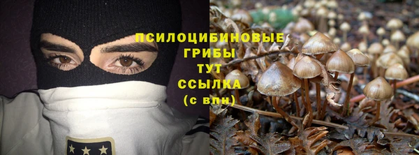 гашик Михайлов