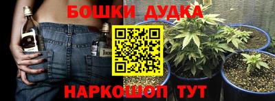 спиды Шахты