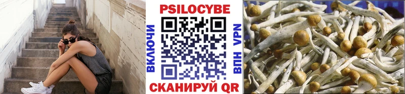 omg как зайти  Уфа  Галлюциногенные грибы GOLDEN TEACHER 