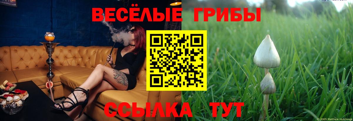 Галлюциногенные грибы Magic Shrooms Уфа