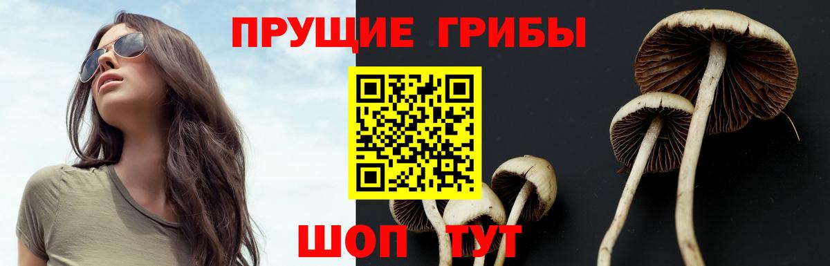 Уфа  Псилоцибиновые грибы Magic Shrooms  Вход с VPN  Галлюциногенные грибы MAGIC MUSHROOMS 